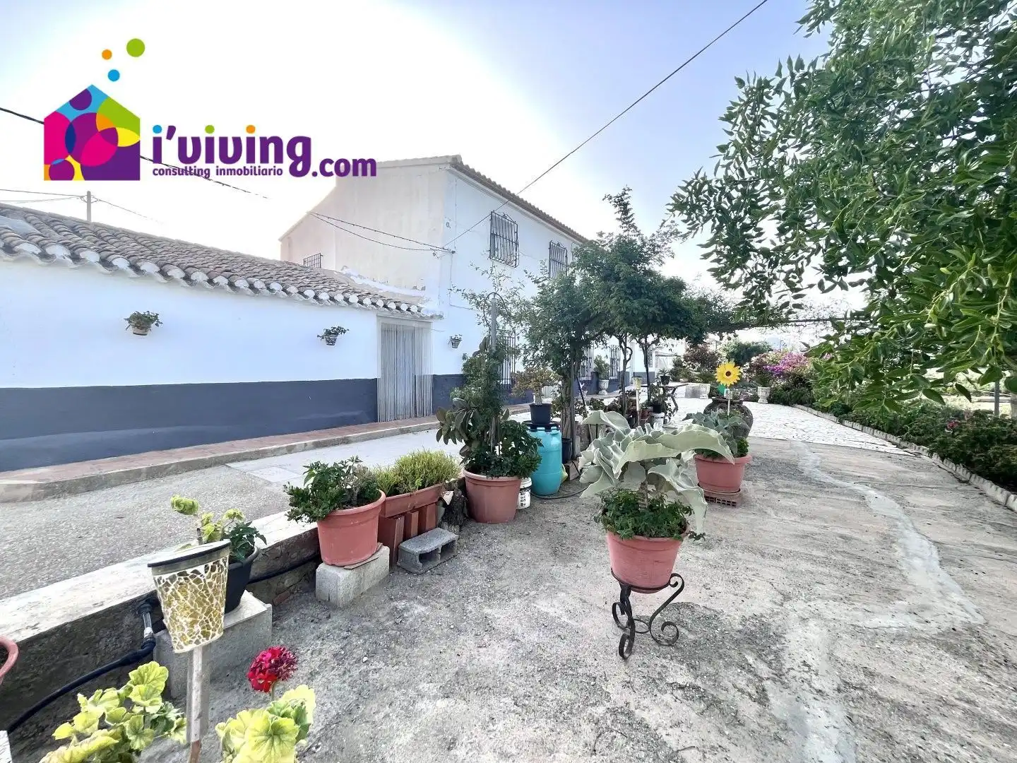 Terrenys i solars en venda a Albox, imagen 51