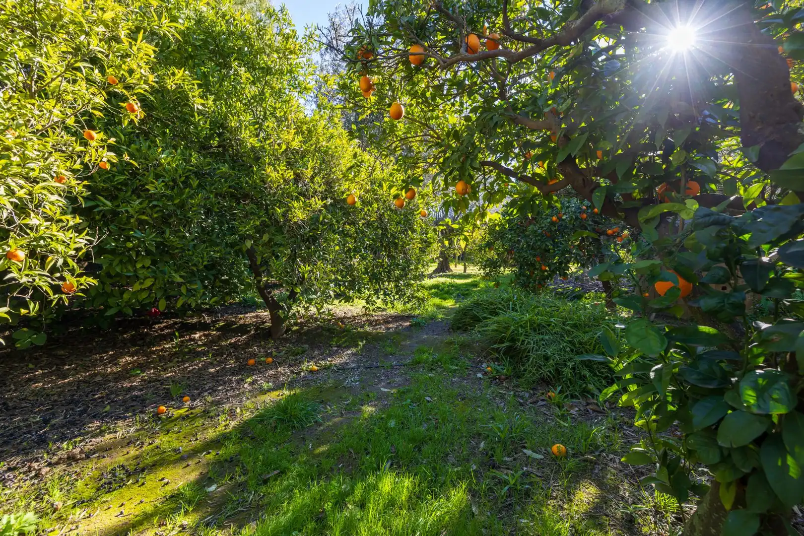 Villa avec terrasse à vendre à Calle del Nacimiento, imagen 57