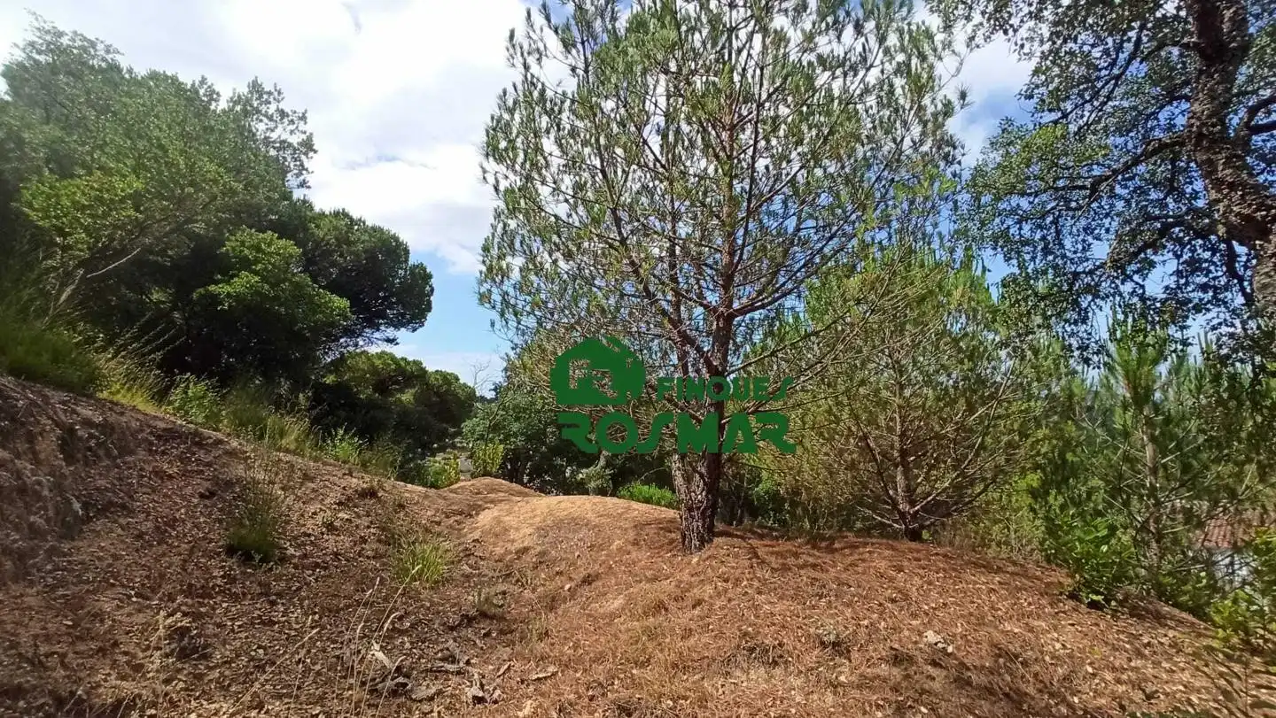 Terrenos y solares en venta en Aiguaviva Parc, imagen 24