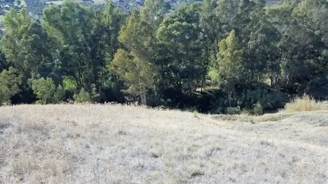 Terreni e lotti in vendita a Avenida de San Roque, imagen 19