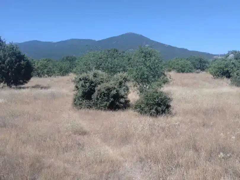 Finca rústica en venda en El Tiemblo 