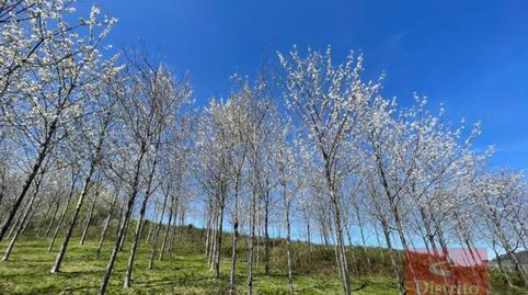 Photo 4 of Residential for sale in Valdáliga - Barrio la Herrería, Valdáliga, Cantabria
