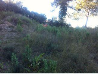 Foto 2 de Residencial en venda a Vacarisses, Barcelona