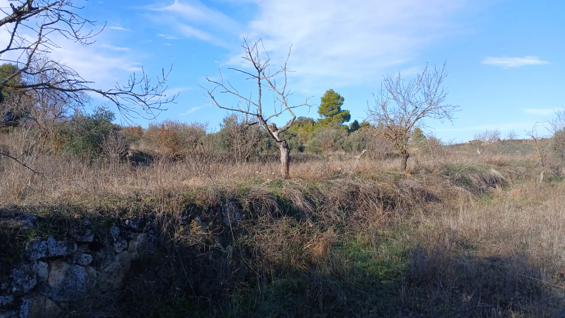 Terreni e lotti in vendita a Camino Fuente 5, imagen 10
