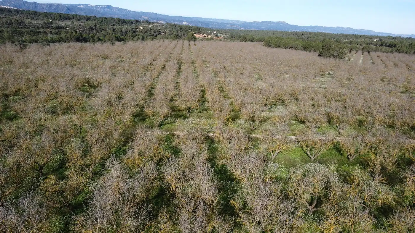 Terreno en venta en Tivissa