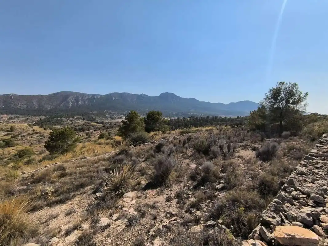Terreny residencial en venda a La Romana