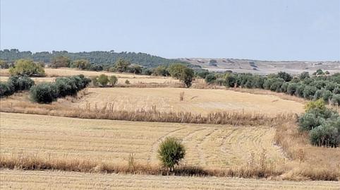 Foto 4 de Residencial en venta en Calle Salinas, 6, Altos del Olivar - El Caracol, Madrid