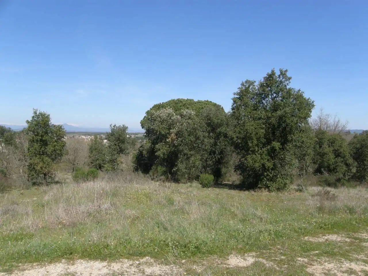 Terreno rústico en venta en Caldes de Malavella, imagen 5