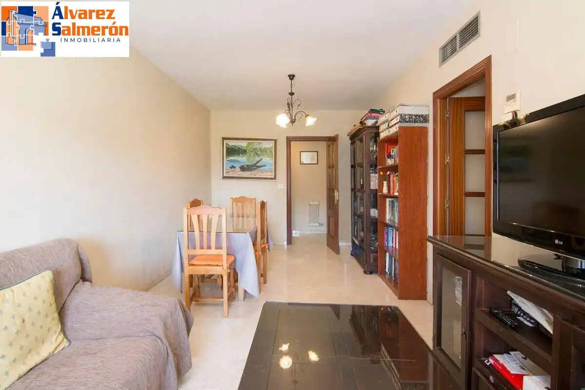 Living room of Flat for sale in Zaidín