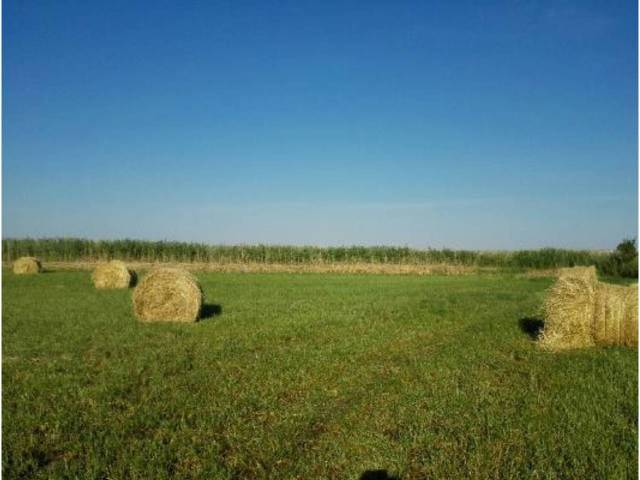 Terreno en Venta en DISEMINADO en Capdesaso