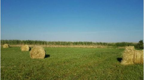 Finca rustica en venta en Capdesaso