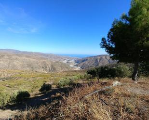 Vista exterior de Finca rústica en venda en Sorvilán amb Moblat