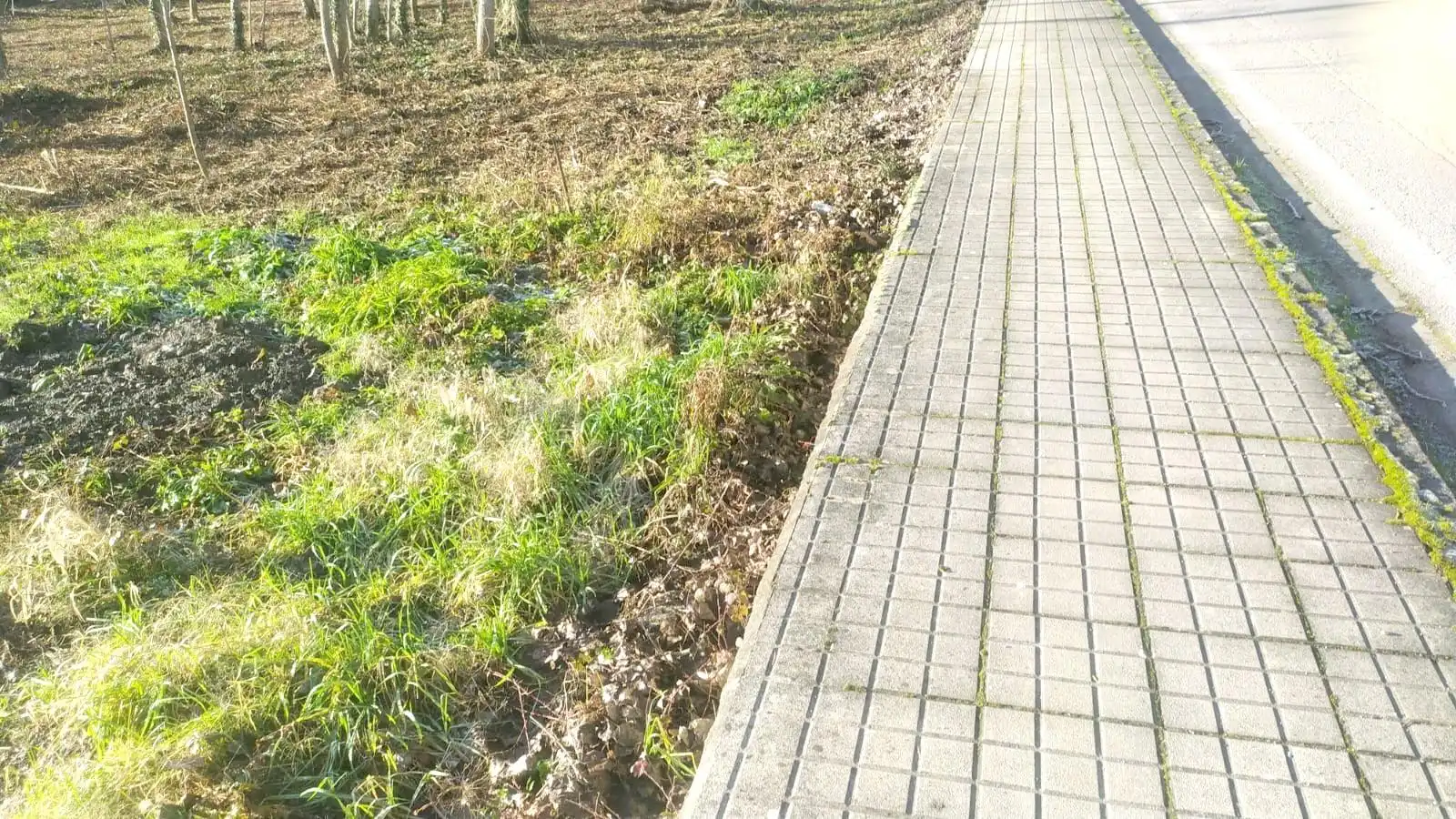 Terreni e lotti in vendita a Flores de Sil - La Placa, imagen 8