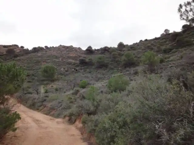 Terrenys i solars en venda a Paraje Vallota, imagen 11
