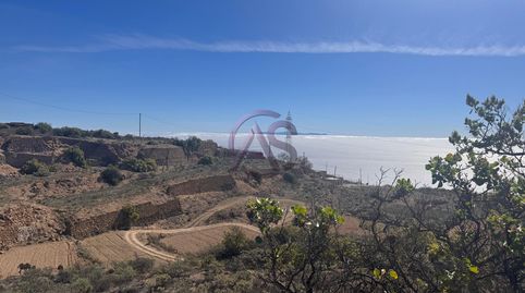 Foto 2 de Terreno en venta en Calle Pino Gordo, Fasnia, Santa Cruz de Tenerife
