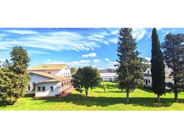 Pis amb balcó en venda a Mas Masó - Hospital