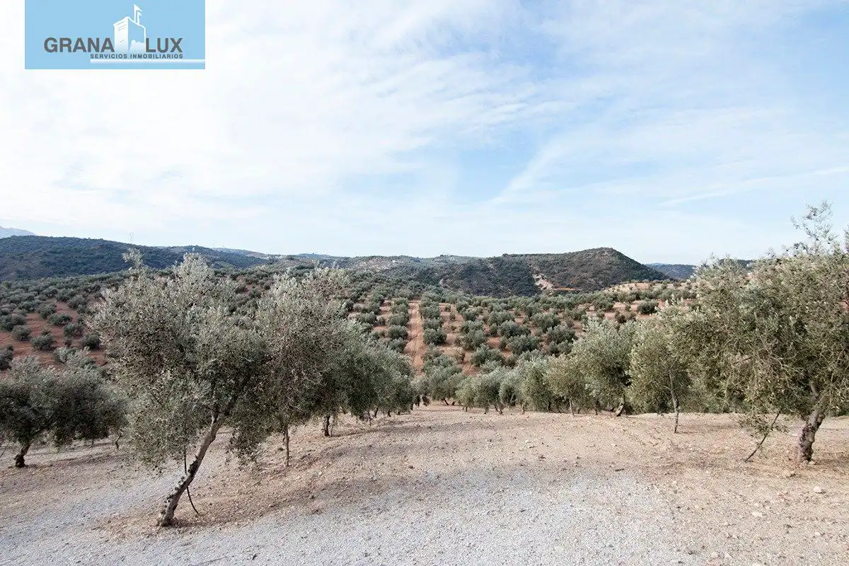 Country homes for sale in Loja