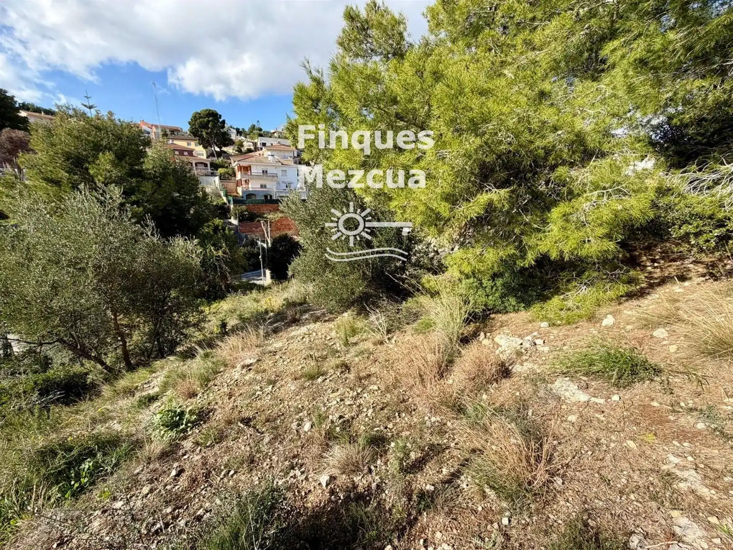 Terreno rustico in vendita a Torre Dels Escipions, imagen 6