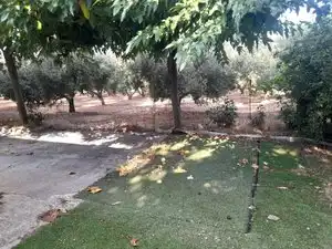 Garden of Land for sale in La Masó
