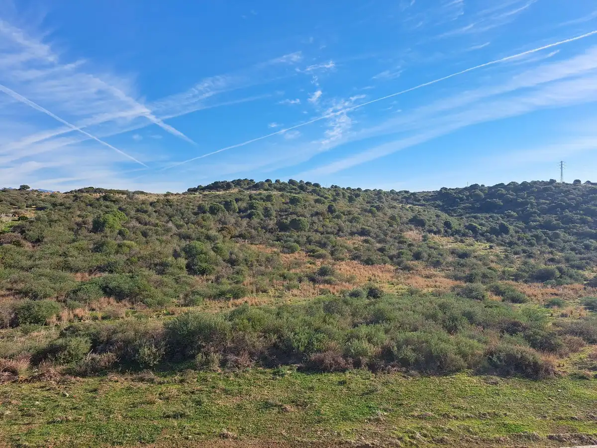 Dúplex amb terrassa en venda a N/A, imagen 22
