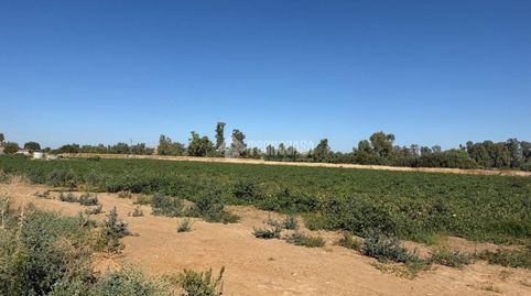 Foto 4 de Finca rústica en venda a San Roque - Ronda Norte, Badajoz Capital