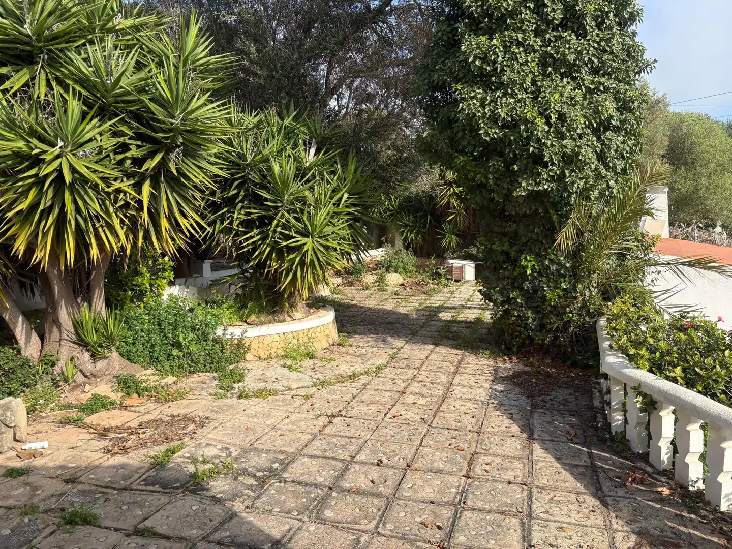 Maison rustique avec terrasse à vendre à Ciutadella, imagen 33