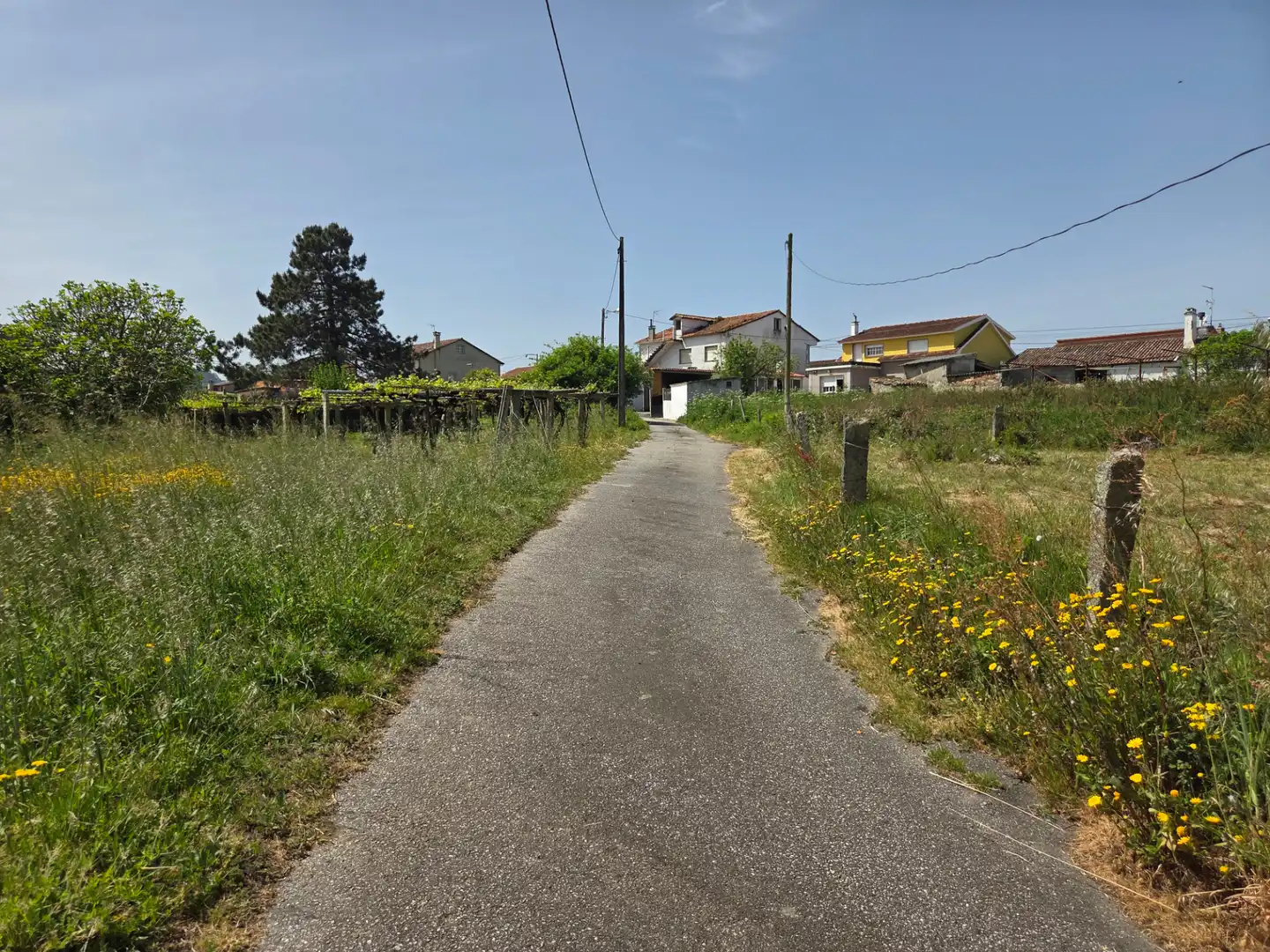 Casa o xalet en venda en Sanxenxo amb Jardí privat i Terrassa