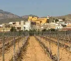 Bungalow con giardino in vendita a Hondón de las Nieves / El Fondó de les Neus, imagen 34