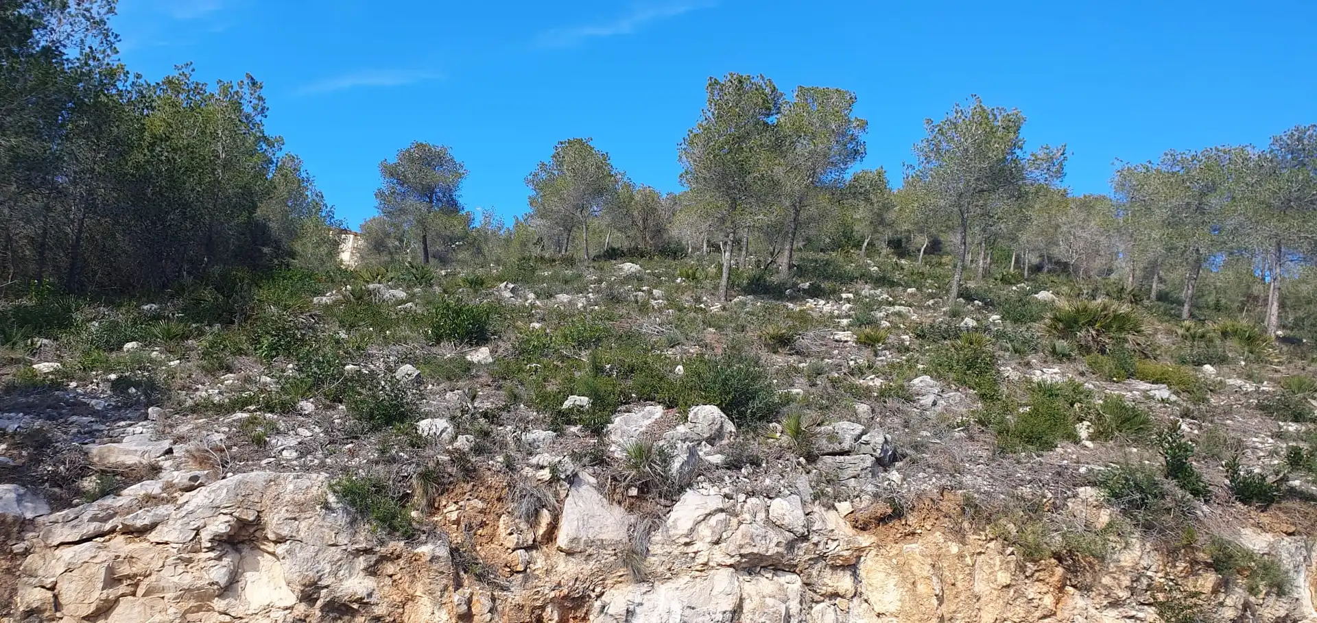 Terreno residencial en venta en Castellet i la Gornal, imagen 5
