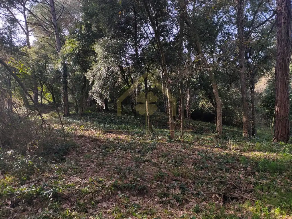 Residential for rent in Sant Pere de Vilamajor