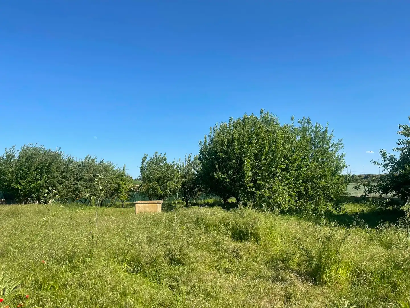 Grundstücke zum Verkauf in Burgos