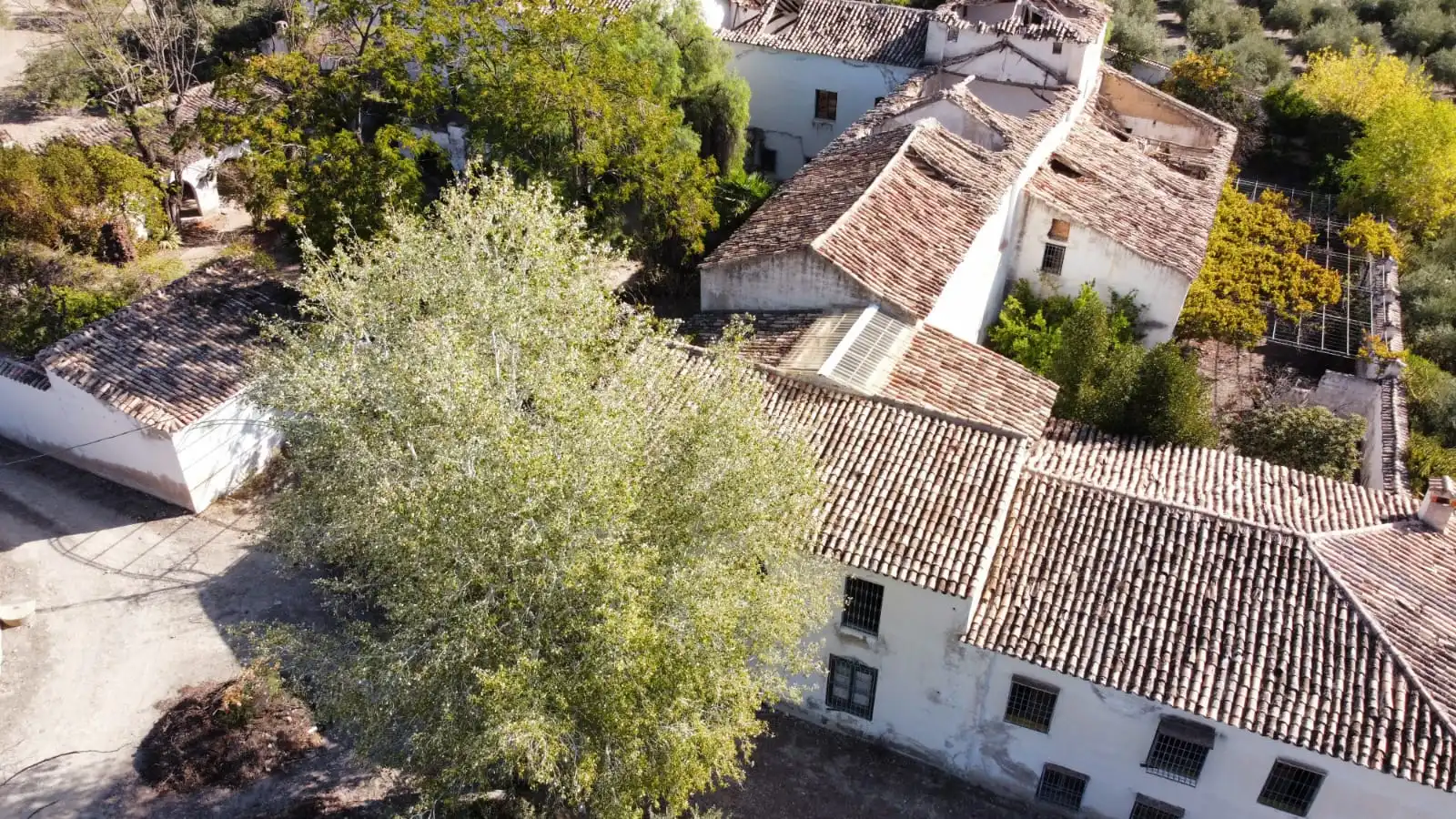 Detached house for sale in Puerto Alto, imagen 6
