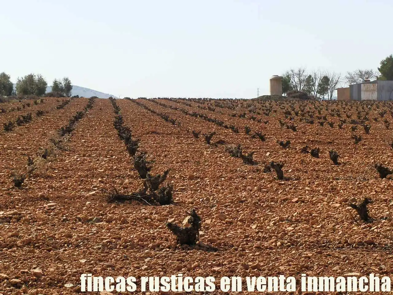 Rural land for sale in Valdepeñas, imagen 14