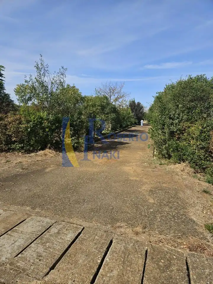 Casa o chalet en venta en Laguna de Negrillos con Calefacción y Jardín privado
