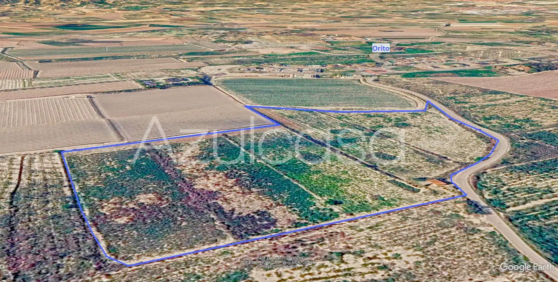 Land for sale in Monforte del Cid