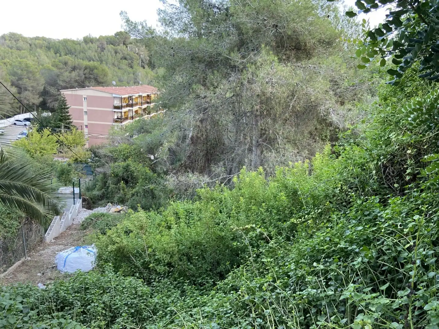 Rural land for sale in CL La ginesta Nº 7, imagen 5
