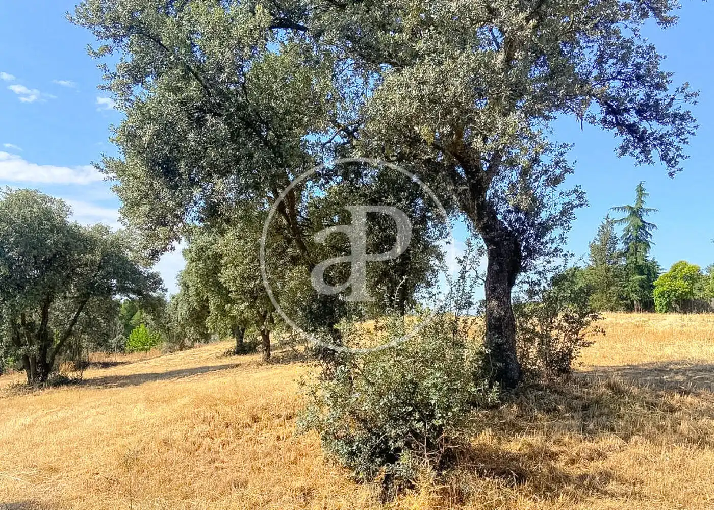 Residential for sale in Fuente del Fresno