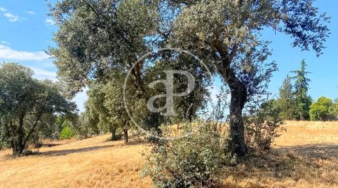 Photo 3 of Residential for sale in Fuente del Fresno, Madrid