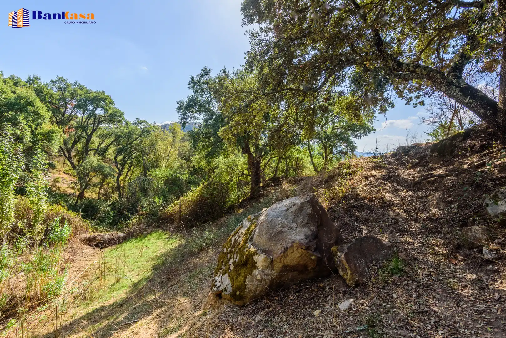 Casa o xalet en venda en Cortes de la Frontera amb Calefacció, Jardí privat i Moblat