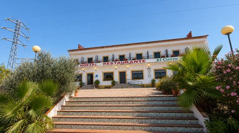 Foto 3 von Geschaftsraum zum Verkauf in C8g2+p5 Aliseda, Spain, -1, Aliseda, Cáceres