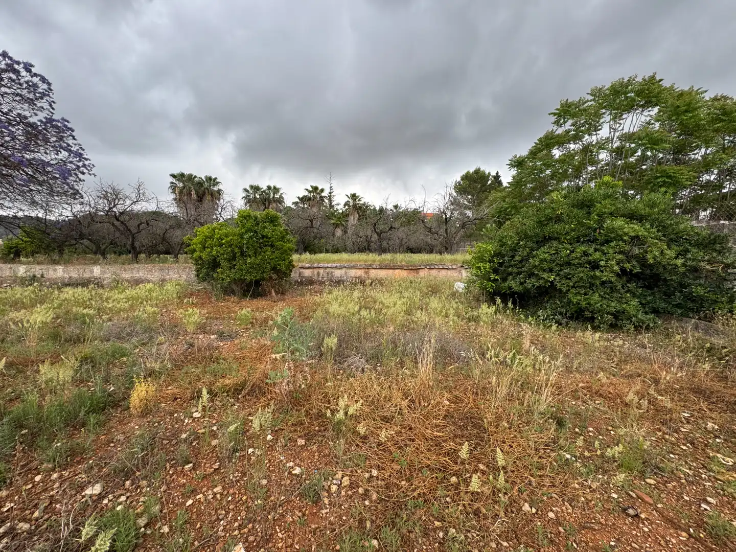 Casa o chalet en venta en Carretera Pedreguer-Benidoleig, Pedreguer