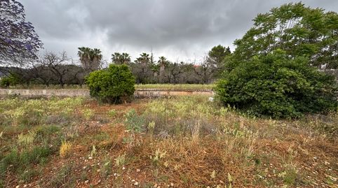 Foto 3 de Casa o chalet en venta en Carretera Pedreguer-benidoleig, Pedreguer, Alicante
