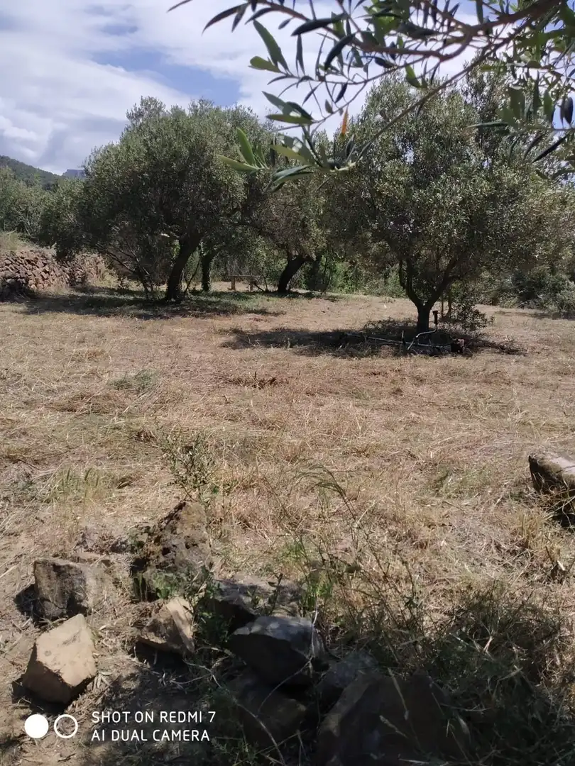 Terreno rústico en venta en Coll d'En Peiró, imagen 4