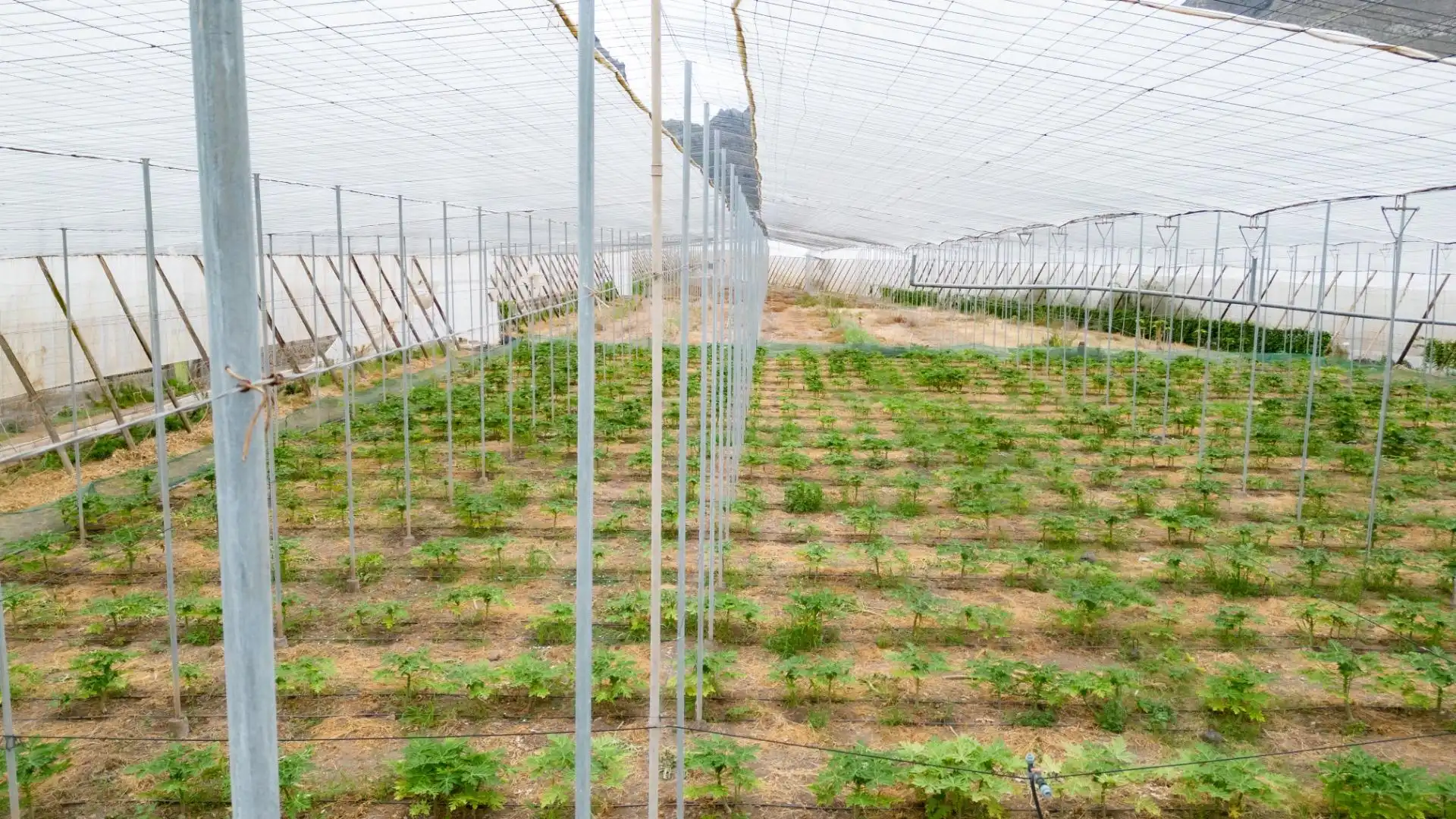 Jardín de Terreno en venta en San Cristóbal de la Laguna