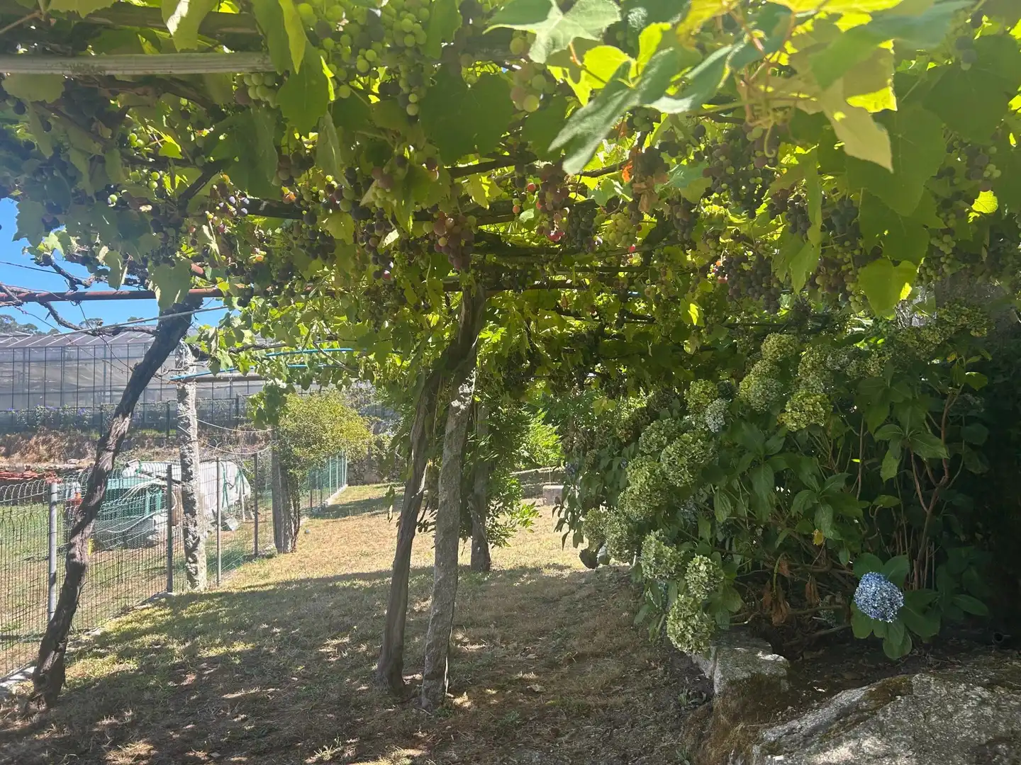 Garden of Country homes for sale in Vilanova de Arousa  with Air Conditioner and Heating