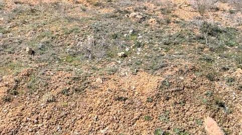 Photo 3 of Residential for sale in Copernal, Guadalajara