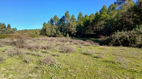 Cretas-Finca Rústica, immagine 5