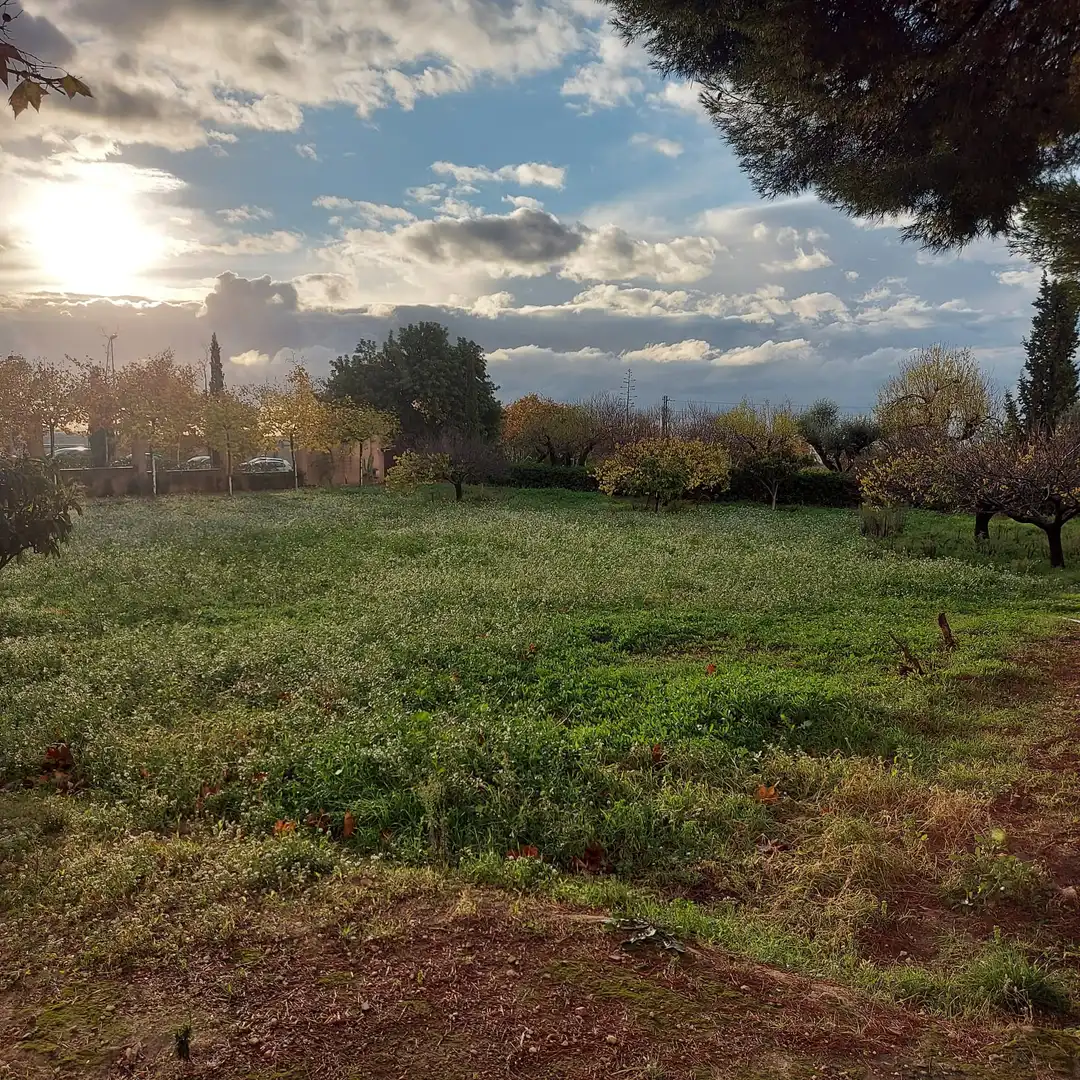 Houses for sale in Vilanova i la Geltrú