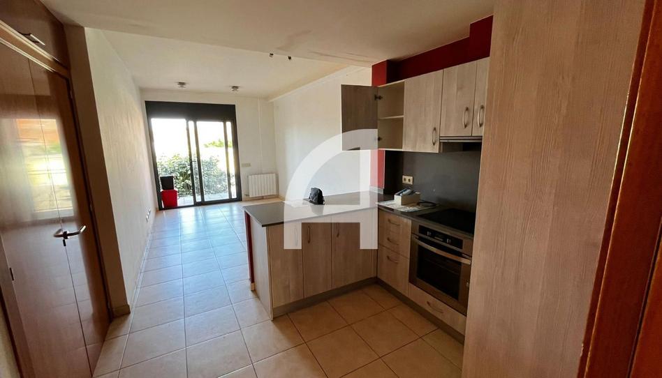 Foto 1 de Estudio de alquiler en Montseny, Cardedeu, Barcelona