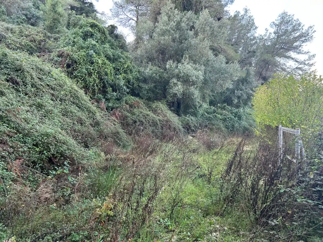 Rural land for sale in Partida Tancaes, imagen 20